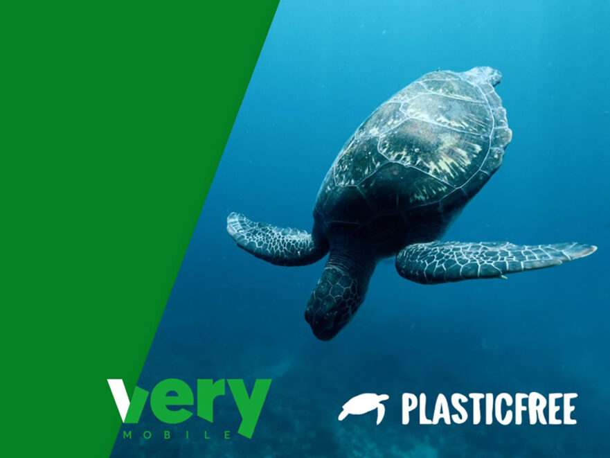 VERY per le tartarughe marine con Plastic Free Onlus